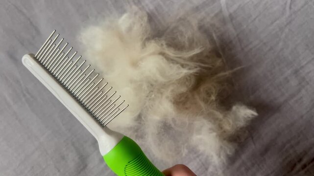 Cat deshedding tool in action, close-up detail of a metal comb and collected fur on a gray textile surface