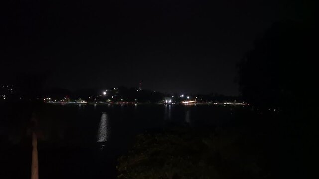 Bright shoreline lights shimmer across a lake framed by dark foreground trees in Udaipur at night.