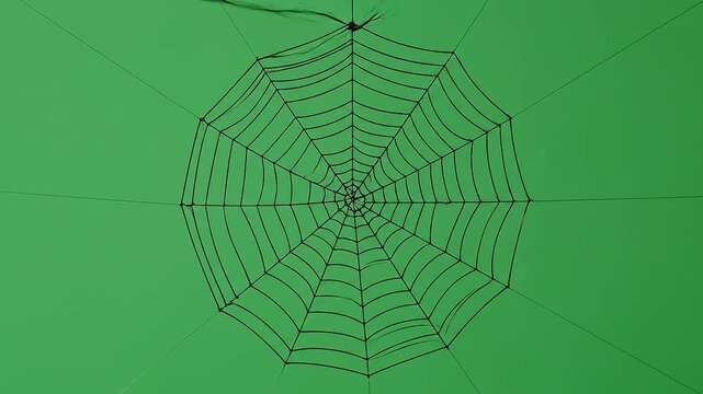 Spiderweb silk trap spooky creepy eerie sticky hunter arthropod umbrella frame wire rib dark green peaceful nature tranquil abstract lonely serene