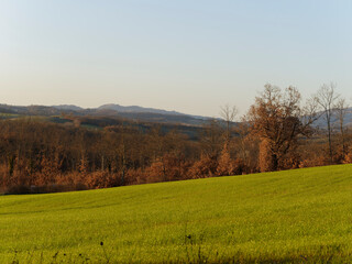 Obraz premium beautiful view of the countryside around siena in tuscany