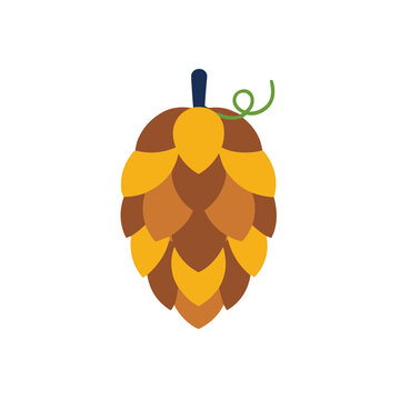 Stylized hop cone with vine illustration