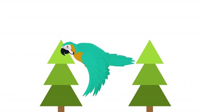 A macaw flies between fir trees. Bird flight animation, alpha channel. Cartoon