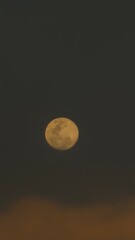 full moon in the night © 23tb