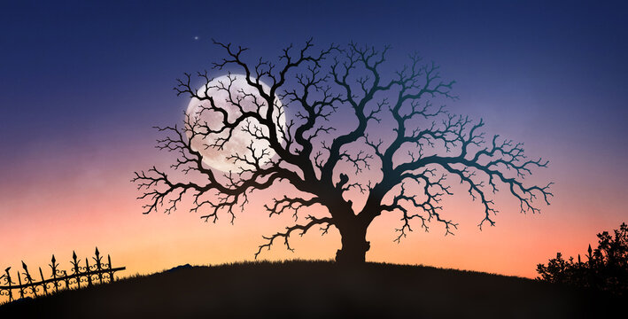 Spooky bare tree silhouette on hill at halloween night with full moon