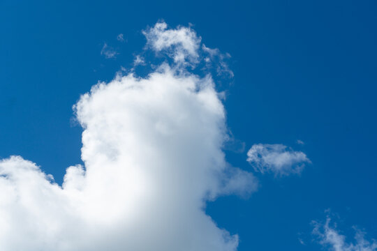 Fluffy White Cloud in a Bright Blue Sky
