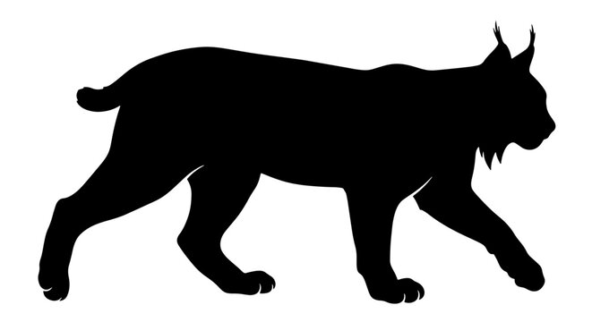 Lynx silhouette vector icon, wild bobcat animal side profile view, black cat graphic graphic element for logo design and wildlife branding