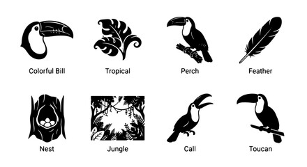 Fototapeta premium Black toucan bird vector icons set, tropical jungle wildlife elements graphic collection, isolated nature silhouettes for logo design