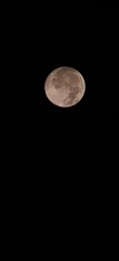 Full Moon in the Night Sky © Al