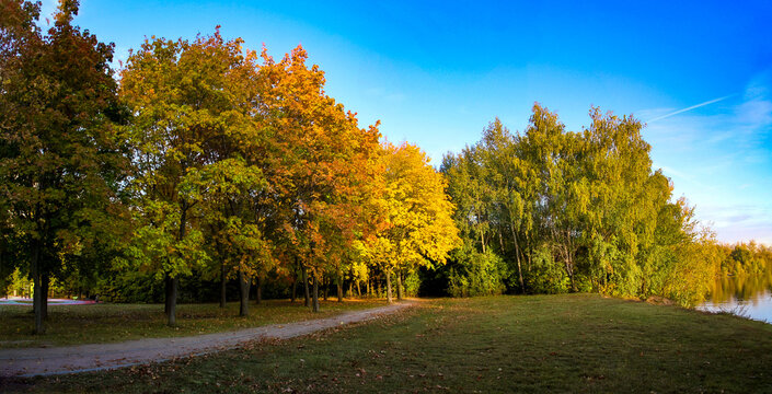 Scenic panoramic autumn park view with pathway, colorful foliage trees, warm evening light, and river bank, Strogino, Moscow, Russia.