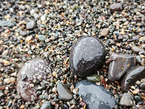 Close-up of wet smooth stones on a bed of gravel. Natural pebble texture background
