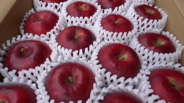 Jonathan Apples Displayed Inside Open Cardboard Box, Japan Autumn Harvest