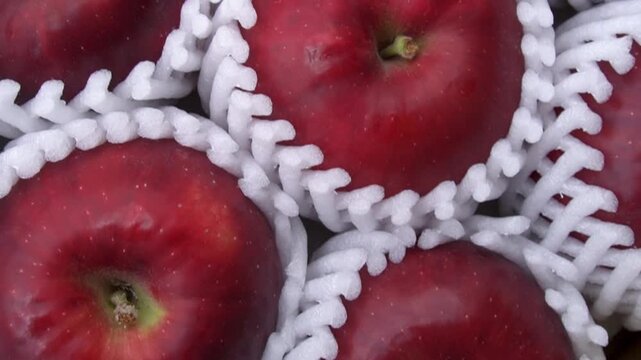 Jonathan Apples Displayed Inside Open Cardboard Box, Japan Autumn Harvest