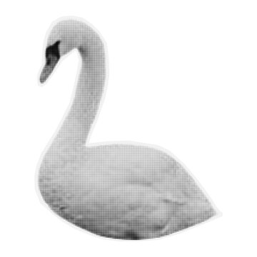 White swan. Element for scrapbooking and collage. Waterfowl with wings. Halftone style, vector illustration.