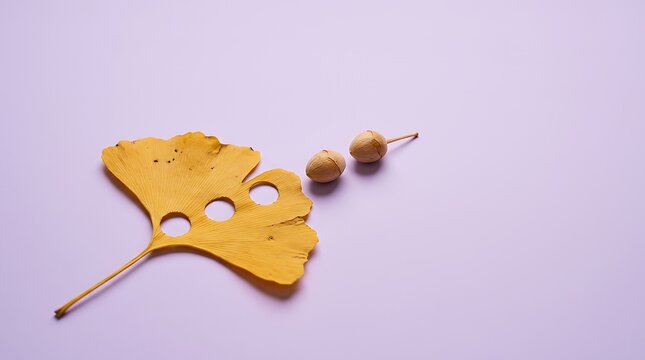 3つの穴が開いたイチョウの葉と銀杏