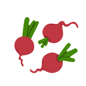 Red radishes set in different shapes. Root vegetable featuring green leafy tops and organic hand-drawn details, isolated on a white background. Flat vector illustration.