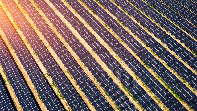 Aerial view of rows of solar panels in a solar farm under bright sunlight in Prague, Prague, Czechia.