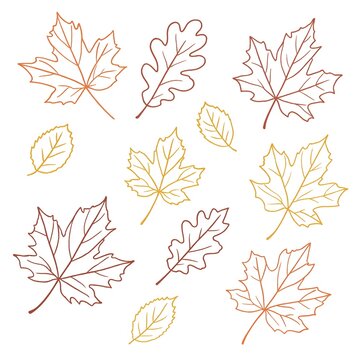 Set of hand drawn autumn leaves in line art style with warm seasonal colors on white background