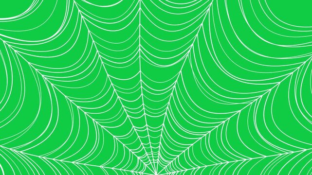 Seamless loop animation of a white spider web spinning in slow motion on green screen, ideal for Halloween reels, spooky stories, horror intros, cinematic overlays, mobile video content