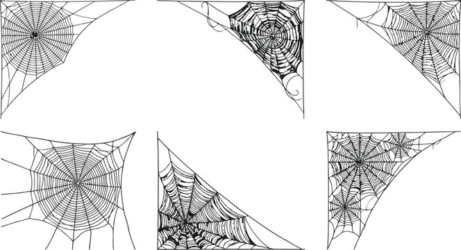 Intricate spiderwebs in corner vignettes with delicate lines and organic patterns during a conceptual Halloween theme