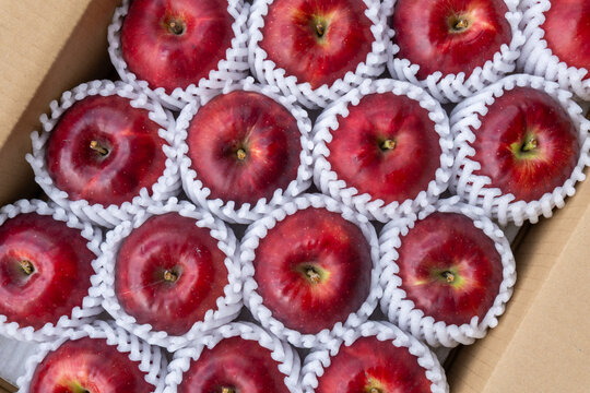 Fresh Jonathan Apples Neatly Arranged in Open Delivery Box, Japan
