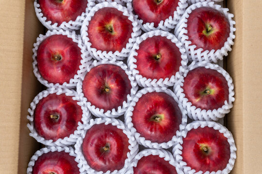 Fresh Jonathan Apples Neatly Arranged in Open Delivery Box, Japan