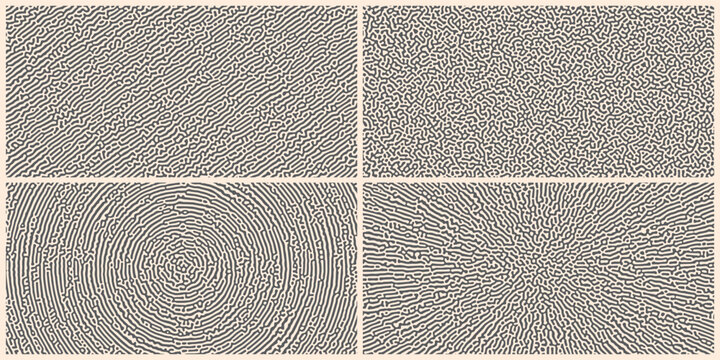Seamless Organic Turing Pattern Texture Set for Abstract Repeating Background Collection