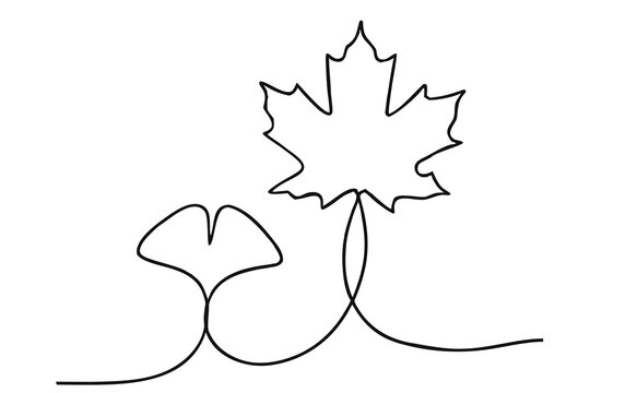 Maple Leaf Line Art with Elegant Continuous Single Line Drawing and Minimal Nature Symbol. Creative Outline Illustration Combines Leaf and Flowing Curves. Vector Design for Branding Posters.