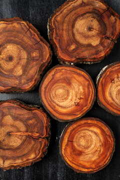 Wood log tree slices on black chalkboard. Flat lay. Top view