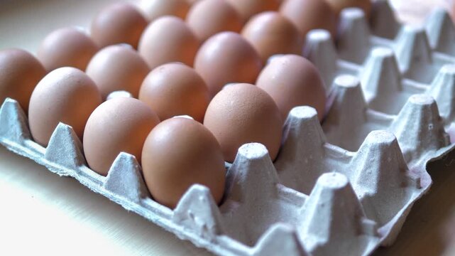 Close up hand of person picking a fresh brown chicken egg from an egg tray preparing for the food