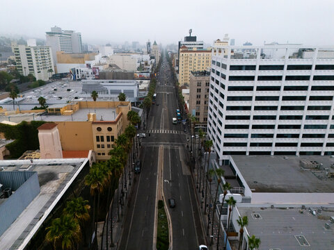 Aerial view of the Hollywood Walk of Fame lined with palm trees and urban architecture in Los Angeles, California, United States.
