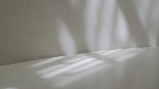 Minimal white architecture background with soft shadows for premium branding editorial and commercial design use