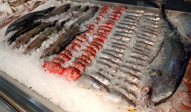 Freshly caught fish assorted on ice at the market display. Silver croaker, redfish and other types of fishes