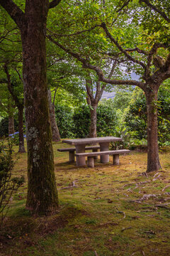 Concrete picnic table and benches provide a relaxing spot for visitors surrounded by lush green trees and natural mossy ground in a tranquil forest park in S&atilde;o Miguel, Azores