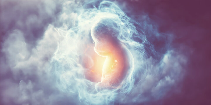Fetus evolving within a glowing celestial mist, symbolizing the journey of pregnancy, childbirth, soul, and personal enlightenment