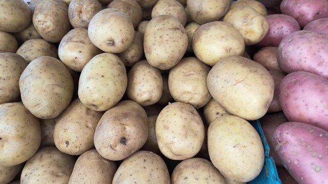 Video close-up of a market display containing yellow and pink-red potatoes arranged in separate groups