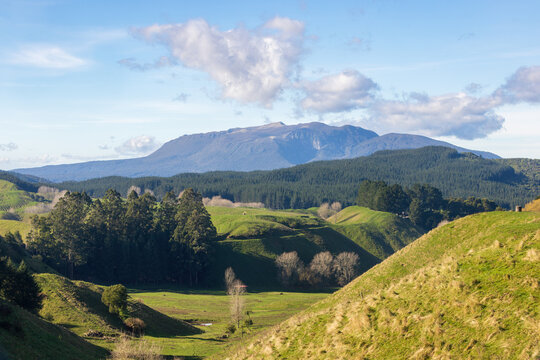 Mount Tarawera, a dormant volcano near Rotorua, New Zealand. In the foreground is rolling farming couuntry and a pine plantation