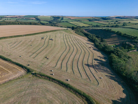 Aerial view of agricultural farmland with freshly harvested fields, hay bales, hedgerows, and rural tracks in Looe, Cornwall, United Kingdom.