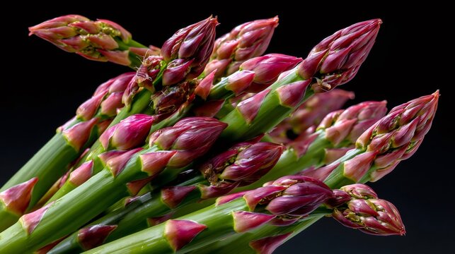 Fresh purple and green asparagus spears against black background