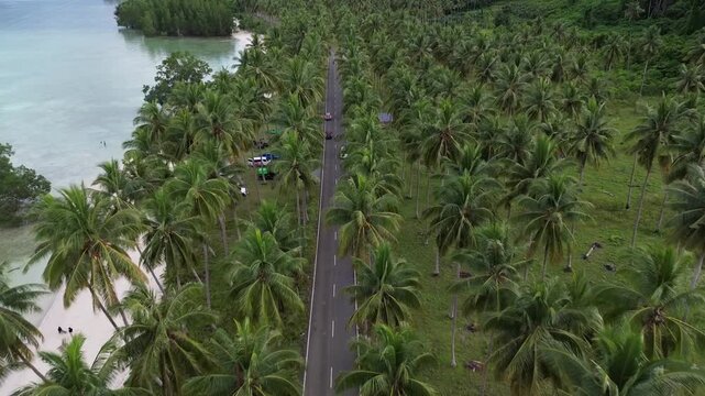 Aerial drone pullback of straight asphalt road through coconut palm forest leading to turquoise beach in Biduk Biduk Berau East Kalimantan Indonesia