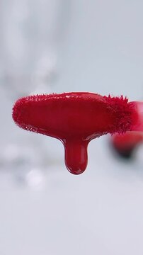 Thick red liquid slowly dripping onto a makeup brush. Extreme close up of red liquid on beauty brush. Cosmetic application or product concept.