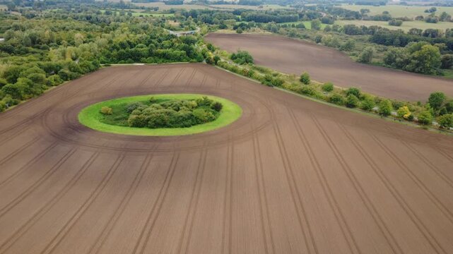 Aerial View of Circular Tree Copse in Brown Arable Field in Countryside Landscape