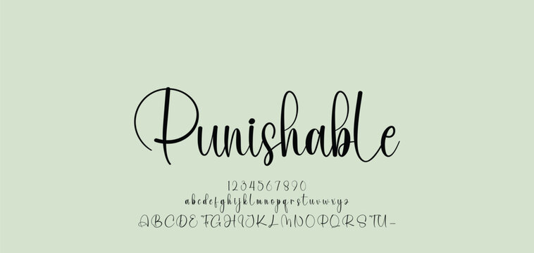 signature Font Calligraphy Logotype Script Brush Font Type Font lettering handwritten. Minimal modern urban fonts for logo, brand etc. Typography typeface uppercase lowercase and number. vector