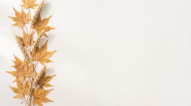 Autumn Botanical Border with Golden Leaves and Wheat Stems on Ivory Background