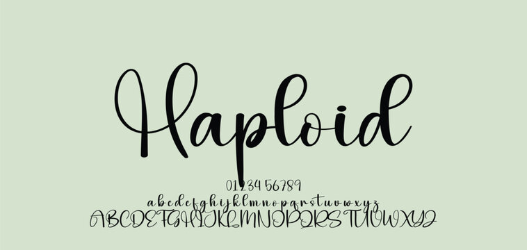 signature Font Calligraphy Logotype Script Brush Font Type Font lettering handwritten. Minimal modern urban fonts for logo, brand etc. Typography typeface uppercase lowercase and number. vector