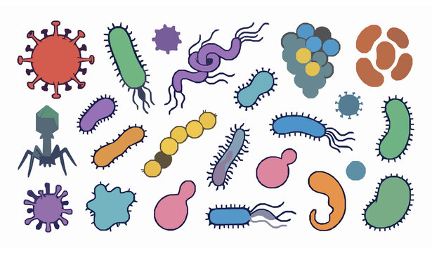 Hand Drawn Virus and Bacteria Microbiology Collection