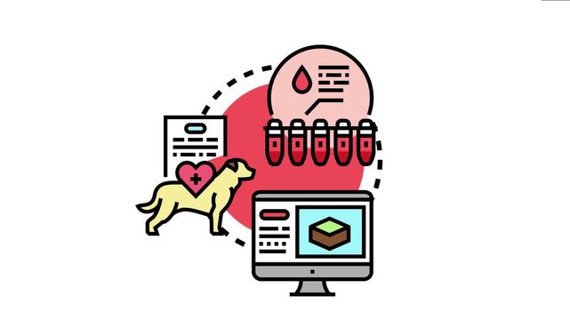 On site examination providing a comprehensive view of pet health through sample analysis, medical records, and digital diagnostics, modern veterinary care