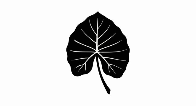 tropical taro leaf silhouette vector