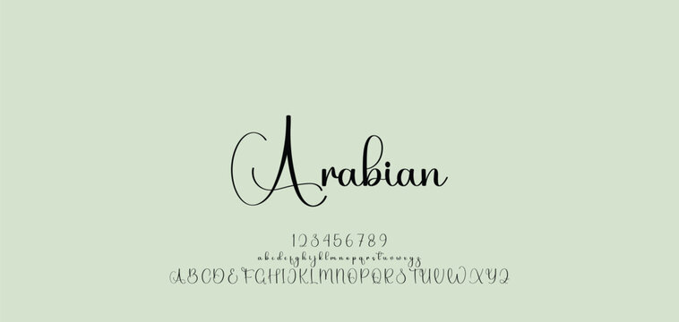Beauty Luxury font alphabet logo. Typography beautiful fashion elegant classic letters serif italic fonts decorative wedding vintage blossom logos. vector illustration