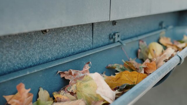 Close up of fallen autumn leaves clogging a metal roof gutter during fall season.