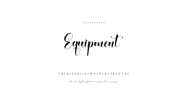 Hand drawn vector alphabet. Modern monoline signature script font. Elegant Signature Font. Best Alphabet Beautiful Calligraphy Signature Font
